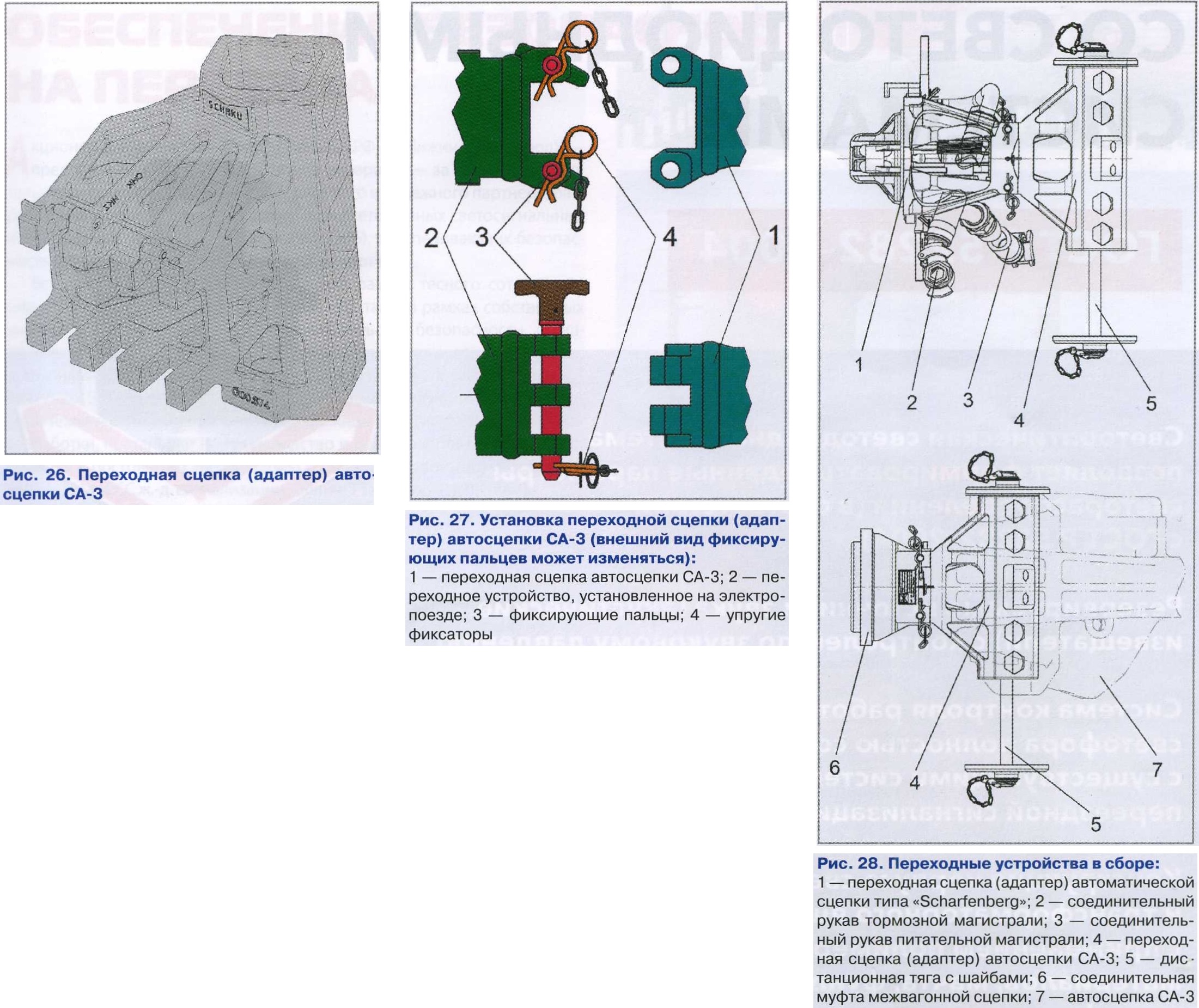 Қара леггинстердегі есек Қара леггинстердегі есек